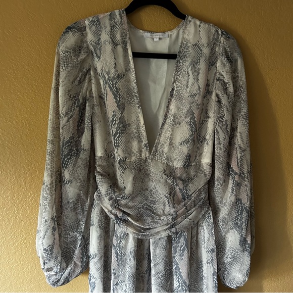 Olivaceous Gray Animal Print Women’s Dress - Size Small - Picture 10 of 12